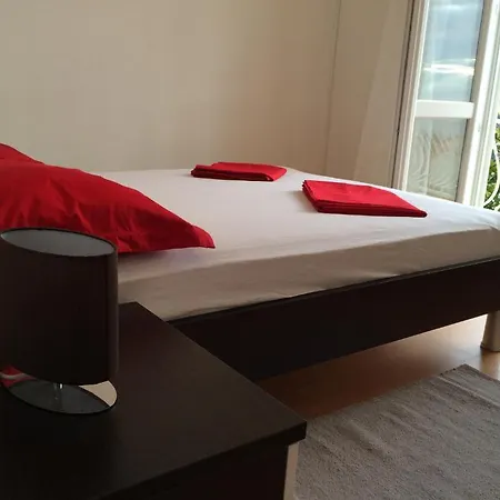 Guest house Tomas 3*